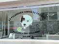 La Peluquería Canina De Pablito