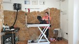 Negocio Peluquería Canina Pitusines