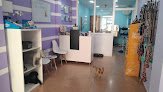 Negocio Sara Albero Peluquería & Boutique Canina