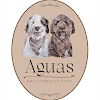 Negocio Aguas Estilismo Canino